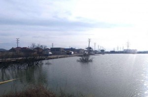 Göl daşdı: evləri su basıb - Abşeronda