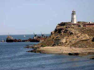 Nargin adasında reyd keçirildi - 1 nəfər saxlanıldı