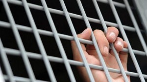 Qoyun otararkən kəndlisi ilə rastlaşdı, kolluğa apardı və... - Astarada ŞOK OLAY