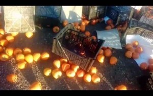 Maşın aşdı: 20 ton xurma yerə töküldü - Bakı-Quba yolunda