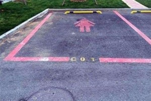 Qadın sürücülər üçün xüsusi yer hazırlandı - Dayanacaqlarda