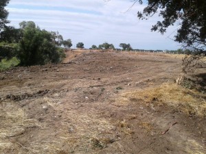 Məişət tullantıları ilə çirkləndirilmiş ərazi operativ olaraq təmizlənib