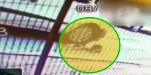 Yolda oynayan 4 yaşlı Zeynəbi maşın vurub üstündən keçdi - ANBAAN VİDEO(+12) 