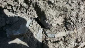 Xızıda yol çəkilişi zamanı məzarlıq aşkarlanıb – FOTO + VİDEO