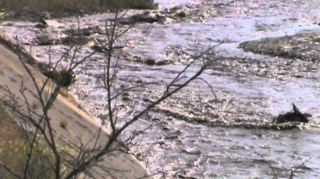 İtkin düşən qadının axtarışları davam etdirilir 