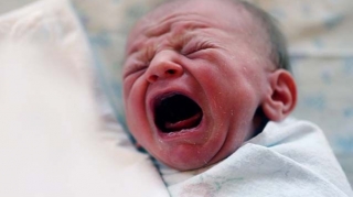 Sumqayıtda yeni doğulmuş qız uşağını zibil qabına atıblar - VİDEO