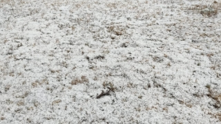 Batabata və Parağaçaya qar yağıb - FOTOLAR