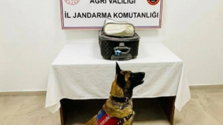Türkiyədə Azərbaycan vətəndaşından külli miqdarda narkotik götürüldü 