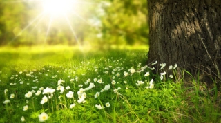 Bazar günü hava necə olacaq? - PROQNOZ 