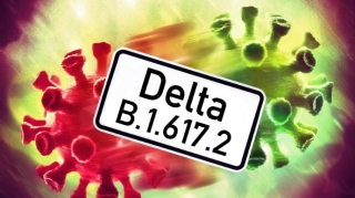 TƏBİB rəsmisindən “Delta”  variantı ilə bağlı açıqlama  - FOTO