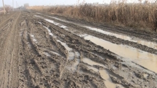 "Nə təcili yardım gəlir, nə taksi" - Asfalt üzünə həsrət qalan kənd - VİDEO 