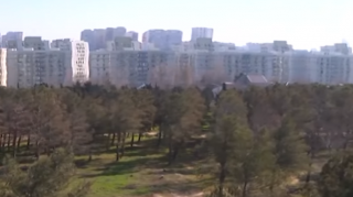 Yasamaldakı meşəlikdə bina tikiləcək? - VİDEO