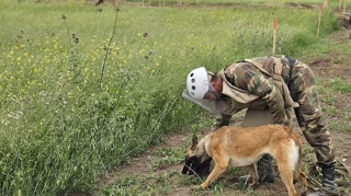 Minatəmizləmə heyvanlar aləmindən istifadə növlərinin sırasına daxil edildi 