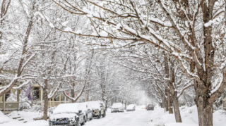 Rayonlarda yağış, qar yağacaq, külək əsəcək - PROQNOZ 