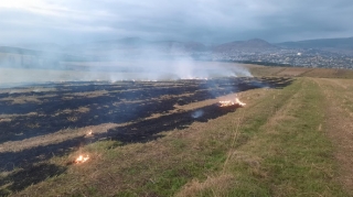 В Шамахинском районе поджигатель привлечен к ответственности - ФОТО
