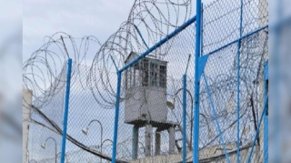 Əhali hansı avtomobil növünə üstünlük verir? - Sorğu 