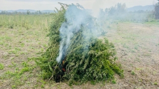 Oğuzda keçmiş məhkum narkotik satışına görə saxlanılıb   - FOTO