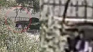 Bakıda qızla oğlan parkda görün nə etdilər... — VİDEO 