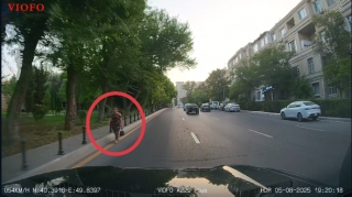 Səkiyə və parka sığmayan qadın yolun ortası ilə hərəkət etdi - VİDEO