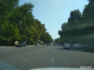 Bərdədə güclü külək bir sıra fəsadlar törədib - FOTO