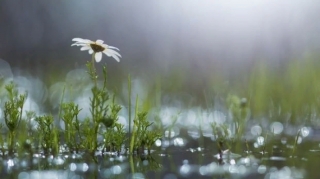 Hava yenidən dəyişir - XƏBƏRDARLIQ