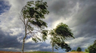 Синоптики предупреждают о сильном ветре