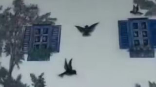 Zəngilandakı evinin divarında sənət əsəri yaratdı - VİDEO 