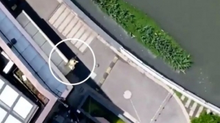 В Шанхае при помощи дрона ловят рыбу из бассейна  - ВИДЕО