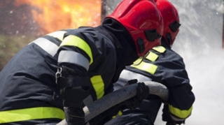 Şəkidə YANĞIN:  Heyvanlar tələf oldu