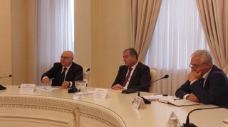 Sumqayıtda yaşıllıqların mühafizəsinə dair əsas problemlər nədir?  - FOTO