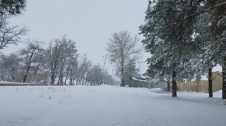 Sabah rayonlara qar yağacaq, güclü külək əsəcək 