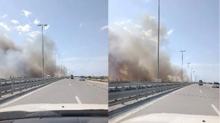 Bakıdakı güclü yanğını törədənin kimliyi bəlli oldu - Yüzlərlə ağac məhv oldu 