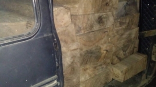 Meşə materiallarını qanunsuz daşıyan şəxslər müəyyən edilib - FOTO 