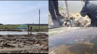 Masazırda məktəblilər gölləri birləşdirib sosial şəbəkədə yaydı - VİDEO 