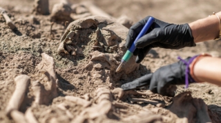 İnsan nəslinin əvvəllər məlum olmayan qolu aşkar edilib 