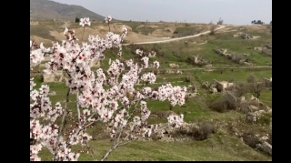 Britaniya səfiri Cəbrayıla səfər edib 