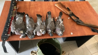 Ağsuda qanunsuz ov edən Kürdəmir sakinləri saxlanılıb 