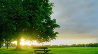 Sabah temperatur enəcək 
