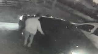 Bakıda kişi maşında yatdı, telefonu oğurlandı - ANBAAN VİDEO 
