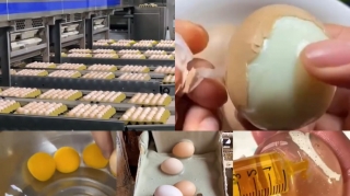 Çində istehsal edilən saxta yumurtalar Azərbaycanda da satılır? - RƏSMİ AÇIQLAMA 