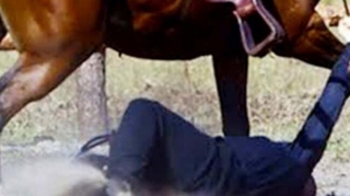 Gədəbəydə maşından hürkən at ona çırpılıb, gənc yıxılaraq ölüb 