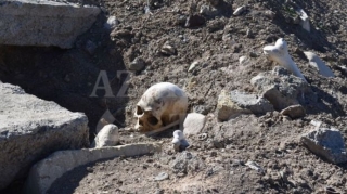 Cəbrayıl yaxınlığındakı qədim qəbiristanlıqda erməni barbarlığı  - FOTO