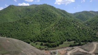 Söyüdlüdəki şirkətin fəaliyyəti müvəqqəti dayandırılır