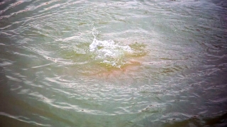 Ginnesin Rekordlar Kitabına düşən lənkəranlının dənizdə meyiti tapılıb - FOTO 