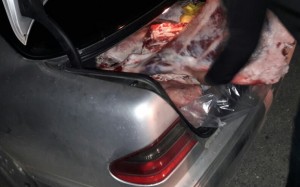 Yol polisi "Mercedes"dən 700 kq murdar ət aşkarladı - FOTO