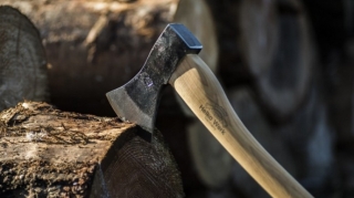 Azərbaycanda 40-dan çox ağacın kəsilməsinə görə cinayət işi başlanılıb