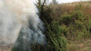 Polis Füzulidə narkotik tapdı  - FOTO