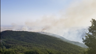 Qəbələdə dağlıq ərazidə baş verən yanğın nəzarət altına alınıb - VİDEO 