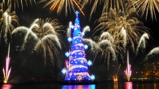 Названы самые высокие в 2025 году новогодние елки в мире 