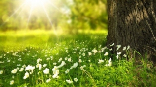 Прогноз погоды в Азербайджане на 31.10.2025 